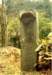 image11018_small.jpg