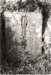 image12004_small.jpg