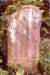 image13009_small.jpg