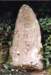 image13021_small.jpg
