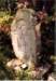 image13026_small.jpg