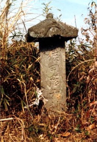 image21044.jpg