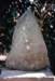 kp3105_small.jpg