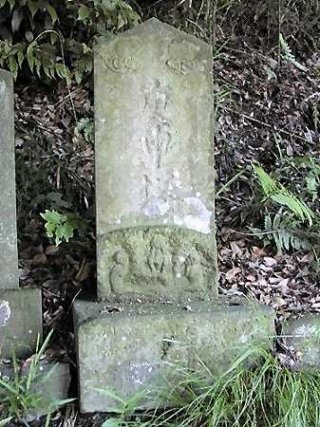 kp7702.jpg