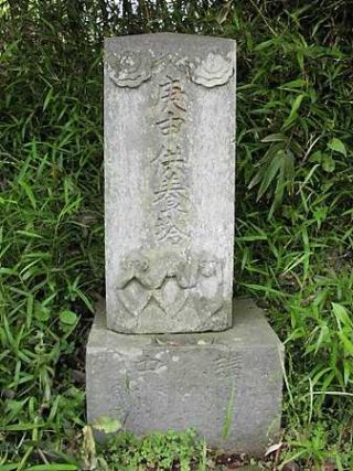 kp7803.jpg