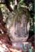 image11077_small.jpg