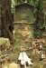 image21010_small.jpg