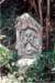 image25057_small.jpg