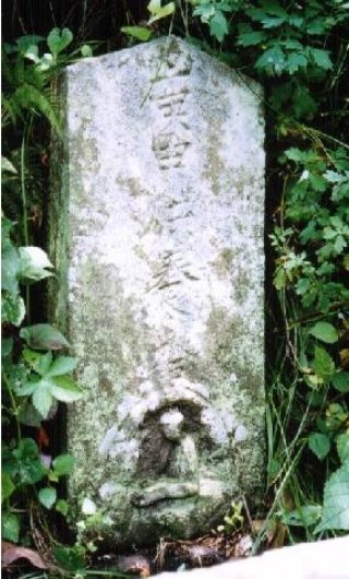 kp1503.jpg
