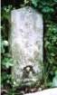 kp1503_small.jpg