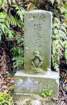 kp4411_small.jpg
