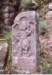 image11002_small.jpg