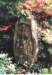 image11055_small.jpg