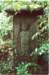image14018_small.jpg