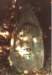image14036_small.jpg