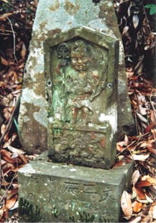 image22129.jpg