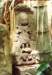 image23006_small.jpg