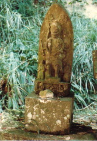 image25016.jpg