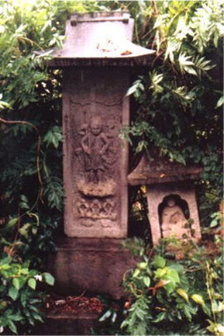 image25044.jpg