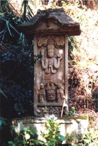 image25082.jpg