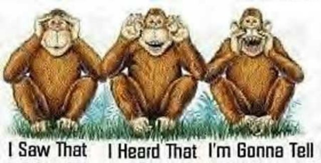 monkeys2.jpg