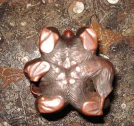 image010