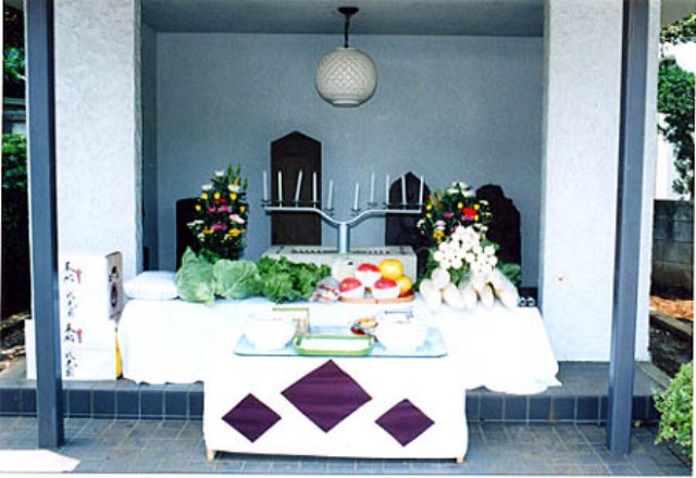 photo5.jpg