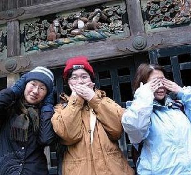 nikko10.jpg